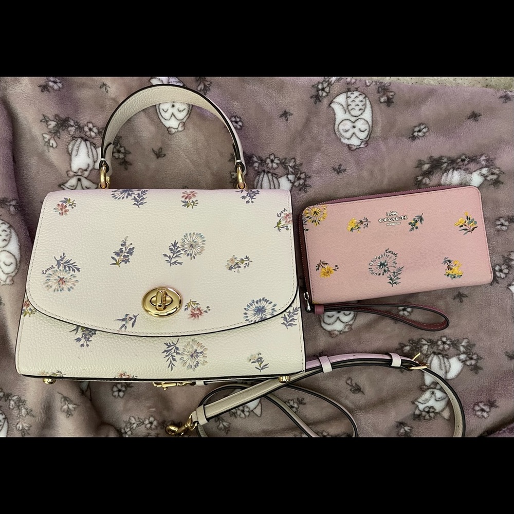 Coach Purse and Wallet Set